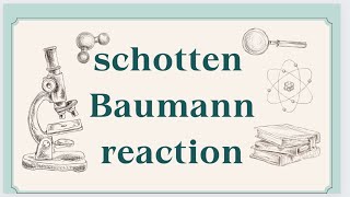 Schotten Baumann reaction for phenol Schotten Baumann Rractions of aniline jee [upl. by Alamat88]