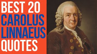 Best 20 Carolus Linnaeus Quotes  The Swedish Botanist Physician and Zoologist  DailyQuotes [upl. by Kotto683]