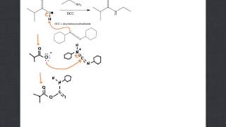 mechanism of amide formation with DCC [upl. by Michelle838]