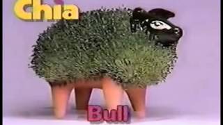 Chia pet song [upl. by Ellebasi]