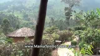 Mahogany Springs Safari Lodge Bwindi Uganda [upl. by Enilecram817]