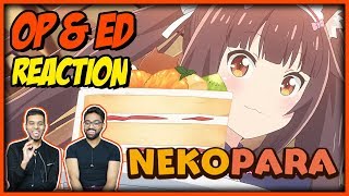 NEKOPARA OP amp ED REACTION Anime Reaction 37 [upl. by Lewanna152]