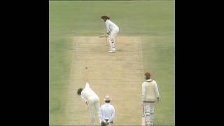 Brave Richie Richardson Heroic Batting Against Fast Bouncers [upl. by Kinnon]