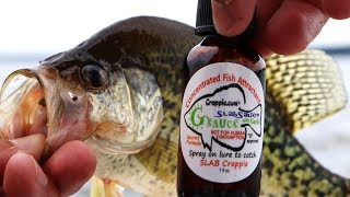 Does GARLIC scent actually catch Crappie So Stinky Ep4 30 day Challenge [upl. by Eicram]