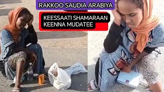 Rakootu Lakku dhalle AkumaaVedio kana Argitaanin Sheer godha SAUDIA ARABIYA KESATI SHAMARAAN KEEN [upl. by Diella]