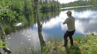 Effektivt markfiske Fiskemetoder aktivt fiske og kilosørret [upl. by Alilahk]