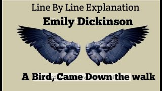 A Bird Came Down The Walk By Emily Dickinson Line by line explanation bangla summary theme [upl. by Teeniv]