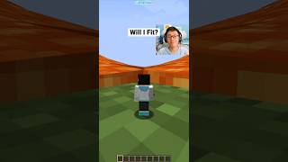 Minecraft Will I Fit Clementdav Vibe [upl. by Rafat]