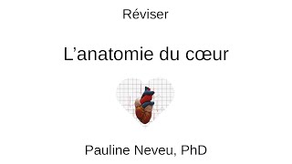 Physiologie CardioVasculaire – Réviser l’anatomie du cœur 001  Dr Pauline Neveu [upl. by Burris]