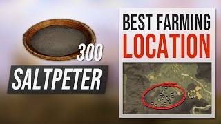 How to get SALTPETER in New World  Best Farming Location Guide [upl. by Mw]