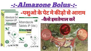 Almazone bolus albendazole tablet use in hindi useDosebenifits medicine medical raj pharmacy [upl. by Koball]