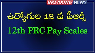 AP Government Employees and pensioners latest updates  12th PRC pay scales  DADR merge to fitment [upl. by Ettelracs]