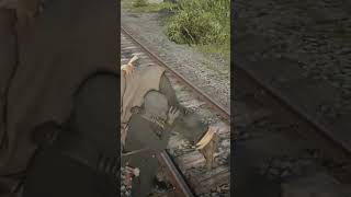 Red Dead Redemption 2 Brutal Train Kill [upl. by Eibreh]