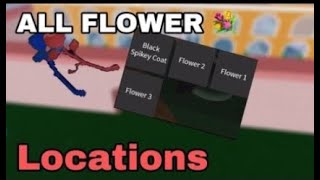 All the v2 flower locations blox fruits [upl. by Komsa]