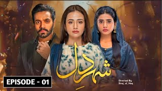 Shaher e Dil Episode 1  Sky Entertainment  Wahaj Ali  Sehar Khan  Sana Javed [upl. by Burnie504]