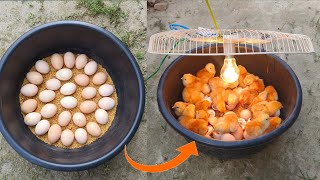 BEST Incubator For Chicken Eggs With 100 Efficiency  Chicken Hatchery  Chicken Egg Incubator [upl. by Fielding803]