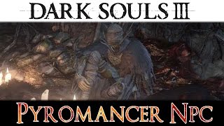 Dark Souls 3  NPC Cornyx Della Grande Palude Mercante Piromanzie [upl. by Brier]