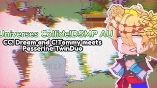 Universes Collide DSMP AU Ep 1 Part 2 CCDream and CTommy meets PasserineTwinDuo [upl. by Arza]