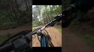 Twisted Oaks Bike Park Duals fun [upl. by Aetnahc]