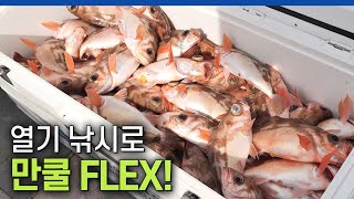 누구든 만쿨 FLEX 가능한 선상 열기 낚시 가보자고 바다포수46회 [upl. by Anawk]