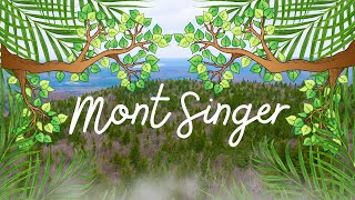 Vlog  Randonnée pédestre au Mont Singer  Estrie [upl. by Season330]