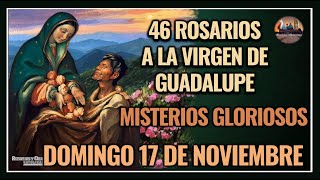 46 ROSARIOS A LA VIRGEN DE GUADALUPE MISTERIOS GLORIOSOS  GUADALUPANO  DOMINGO 17 NOVIEMBRE 2024 [upl. by Enelegna986]