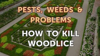 How to Kill Woodlice [upl. by Joye]