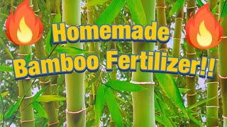 HOW TO Fertilize bamboo [upl. by Assirahs]