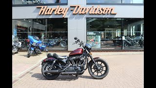 Used Sportster Iron 1200 at Guildford HarleyDavidson [upl. by Lletnahs]