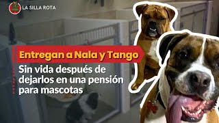 Denuncian la muerte de los lomitos Nala y Tango en guardería para perros en Xochimilco [upl. by Ayatnohs]