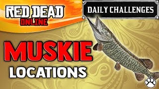 Red Dead Online  Muskie Location  RDR2 Daily Challenge Muskie Caught [upl. by Ehrman]