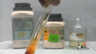 CHLORIDE RADICAL  SALT ANALYSIS   FEDERAL BOARD PRACTICALS CHEMISTRY  FBISE [upl. by Lorenz]