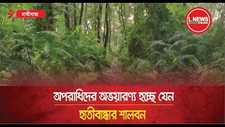 অপরাধিদের অভয়ারণ্য হচ্ছে যেন হাতীবান্ধার শালবন   L News Online [upl. by Seibold]