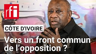 Côte dIvoire  quelles sont les chances de l’opposition face à Alassane Ouattara  • RFI [upl. by Intosh]