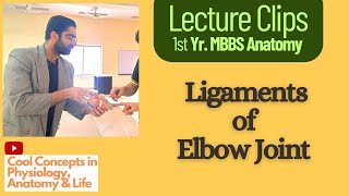 Lecture Clip Anatomy of Ligaments of Elbow Joint  1st Year MBBS [upl. by Columbyne]