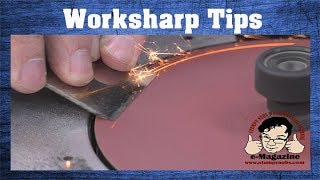 WATCH THIS before buyingusing a Worksharp 3000 tool sharpener [upl. by Locin]