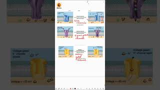 Different types of Ion channels in neurons [upl. by Atsirak]