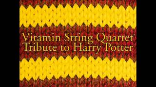 Hedwigs Theme  Vitamin String Quartet Performs the Music of Harry Potter [upl. by Euqinot430]