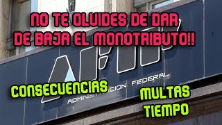 Baja MONOTRIBUTO ¿Cuando puedo volver Consecuencias si no lo haces correctamente [upl. by Fonville]