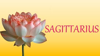 SAGITTARIUS 💕 Love Tarot November 21 2024 Today Card Reading 🧡 Daily Prediction 🧡 Single Couple [upl. by Auhsuoj]