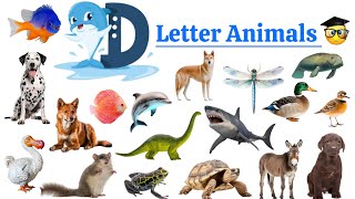 D letter AnimalsVocabularyAnimal Names In EnglishDonkeyDolphinDogDesert TortoiseDeer [upl. by Medwin]