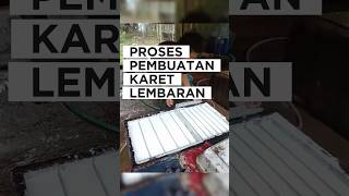 PROSES PEMBUATAN KARET LEMBARAN⁉️😃 pohonkaret karet pertanian [upl. by Everest]