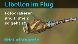 Libellen im Flug filmen oder fotografieren [upl. by Abbotsun450]