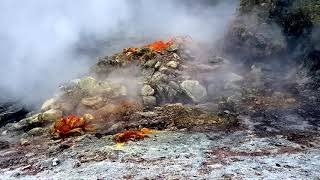 Campi Flegrei SUPERVOLCANO  Solfatara di Pozzuoli amp Fumarole Pisciarelli Italia Naples [upl. by Ahtebat640]