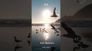 222 Balance realityinbalance [upl. by Jannel]