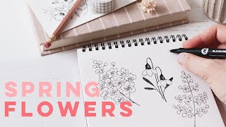 Learn To Draw Flowers  Springtime Florals [upl. by Galvin]