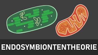 Endosymbiontentheorie  Entstehung von Chloroplasten und Mitochondrien  kurz und einfach erklärt [upl. by Noskcaj]