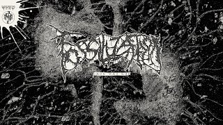 FOSSILIZATION Once Was God Track Premiere [upl. by Zerla472]