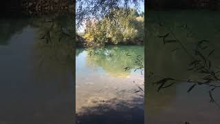 The beauty of the Cetina river near Trilj Croatia [upl. by Noyar]