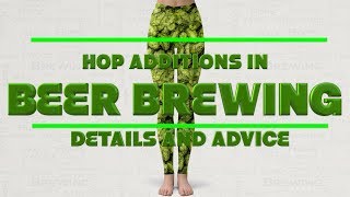 Hop Additions In Beer Brewing Details amp Advice [upl. by Sawyer]